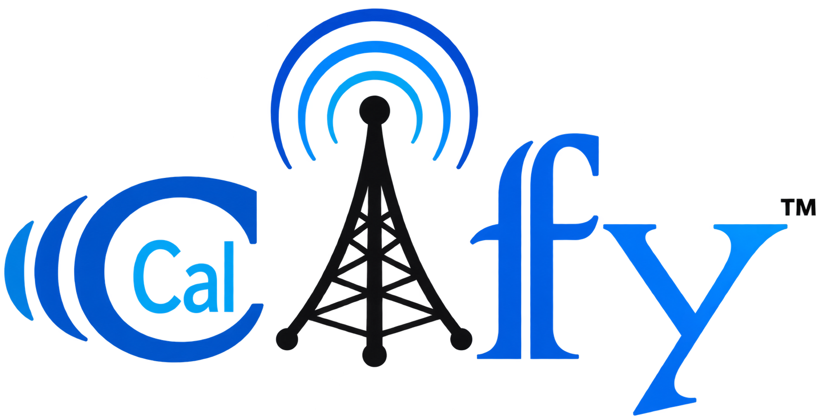 Calcify IT Services Pvt. Ltd.